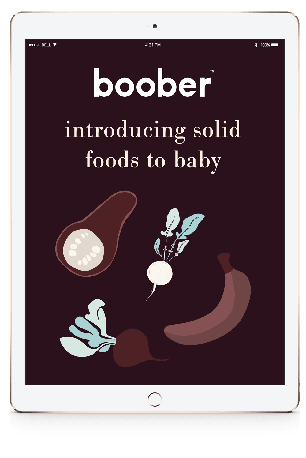 boober ebook introducing solid foods to baby